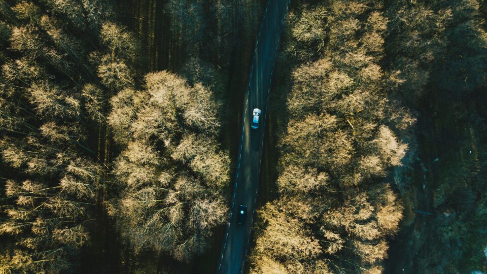 Autotee metsade vahel | Foto: Mari Potter/Unsplash