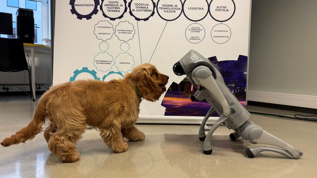 Humanoidrobotid pole enam ulme, vaid reaalsus – samamoodi võivad tulevikus meie igapäevaellu jõuda ka robotkoerad, pakkudes tuge ja seltsi. Foto: Vladimir Kuts