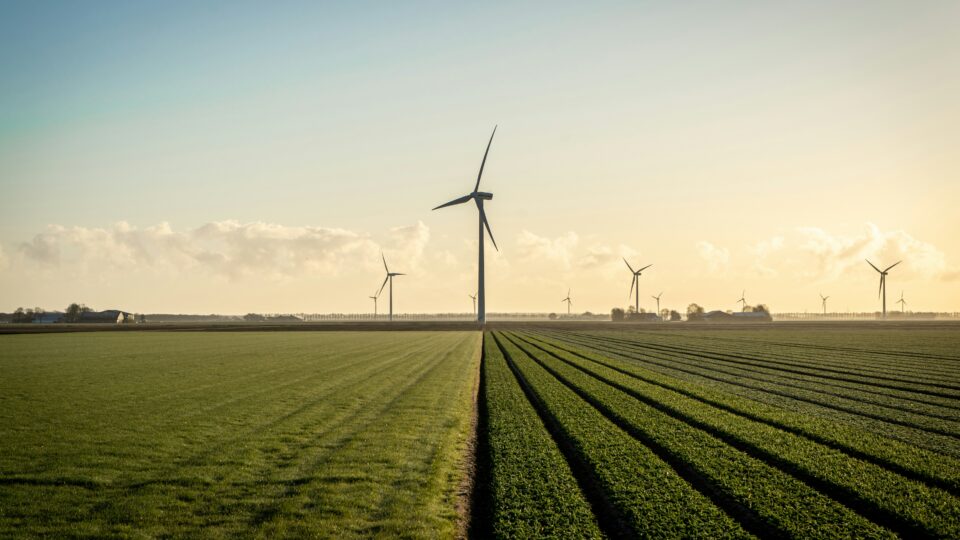 Tuuleenergia potentsiaal on Eestis olemas – küsimus on, kas julgeme selle täiel määral kasutusele võtta. Foto: Unsplash