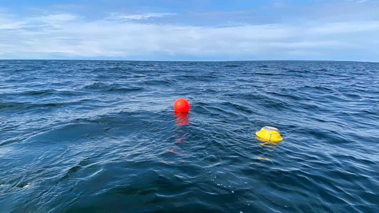 Tänapäeval kasutatakse LainePoissi peamiselt rakenduslikes projektides, kuid seadme teaduslik potentsiaal pole kuhugi kadunud. Foto: Sander Rikka