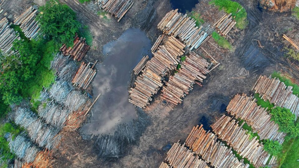 TalTechi eestvedamisel toimunud projekt 5G-TIMBER näitas, kuidas ühendatud digitehnoloogiad võivad muuta puidusektori varasemast tunduvalt läbipaistvamaks, efektiivsemaks ja ohutumaks. Foto: Pexels