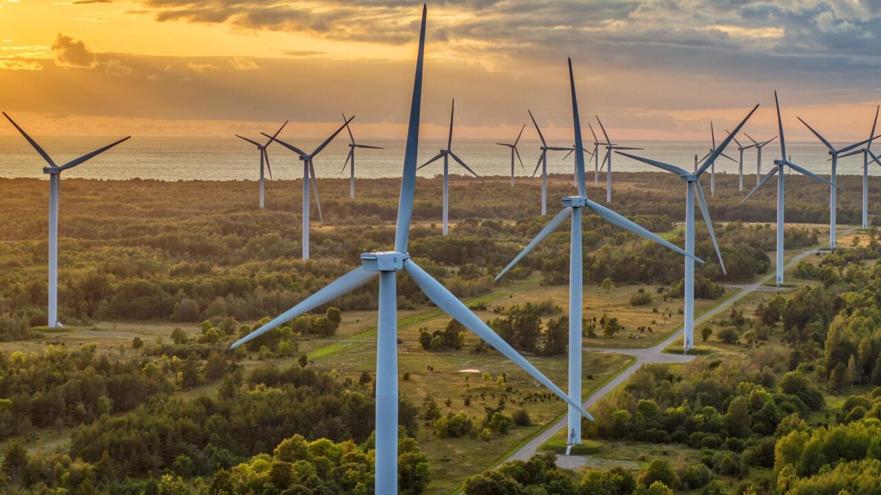 Aguraiuja uskus juba keskkoolis, et meie energeetikatulevik on mitmekesine - tuul, päike, bioenergia, põlevkivi. Ja usub seda siiani. Foto: Enefit Green