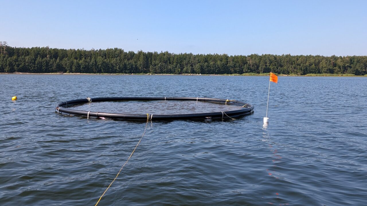 Ülikool võttis ülesandeks töötada Planeet Ruhnu vetikasumba kontseptsiooni põhjal välja toimiv ja soodne lahendus, valida sobivad tehnoloogiad ja materjalid, viia läbi projekteerimiseelsed katsetused ning projekti koordineerida. Foto: Erakogu