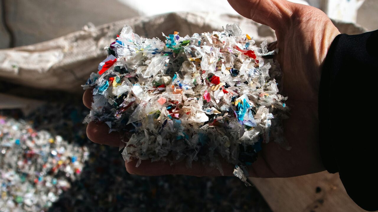When microplastics enter the marine environment, they come into contact with both pelagic and near-bottom biota. The behaviour of plastic particles depends on their type: some remain in the upper water column, while others sink to the seabed. In both cases, organisms inevitably come into contact with plastic. Photo: Pexels