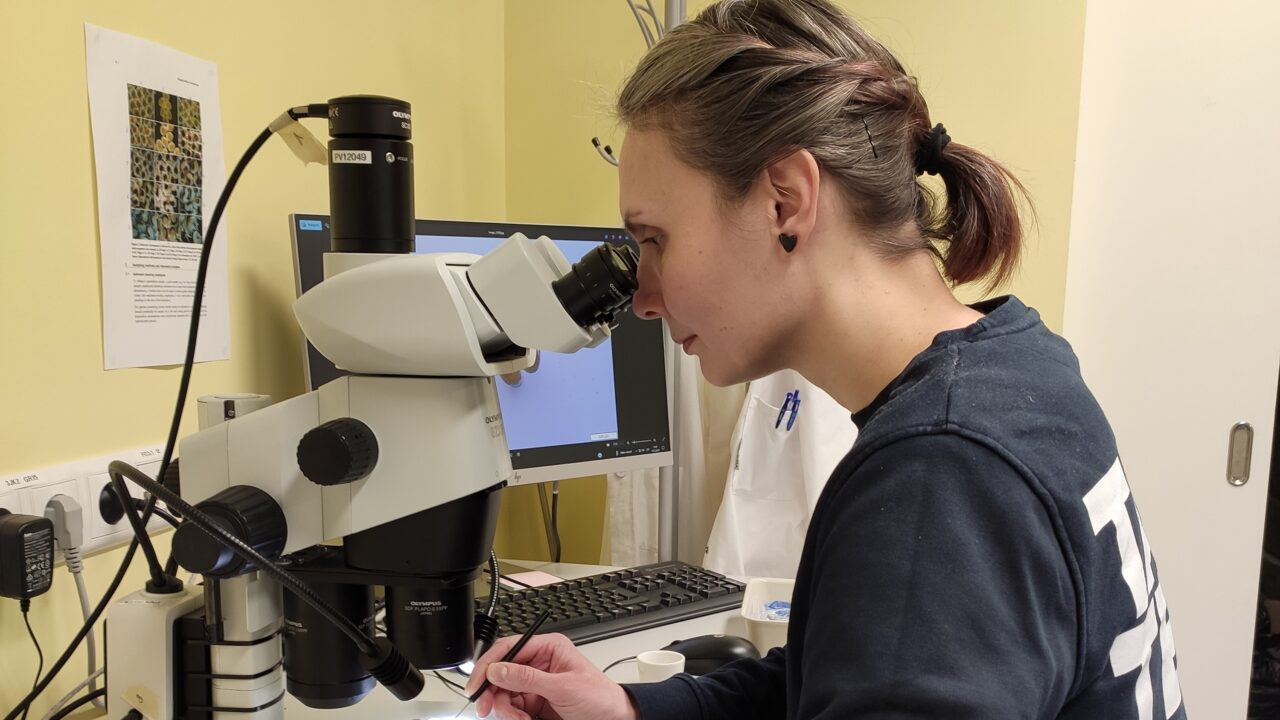 Kolesova rääkis, et tänapäeval pole reostus enam koondunud ega kergesti tuvastatav, vaid hajus ja mitmekesine. Kui Läänemeri seisis veel mõne aastakümme eest silmitsi üksikute, kuid väga kõrge kontsentratsiooniga saasteainetega, siis täna jõuab merre tohutul hulgal uusi saasteaineid. Foto: Natalja Buhhalko