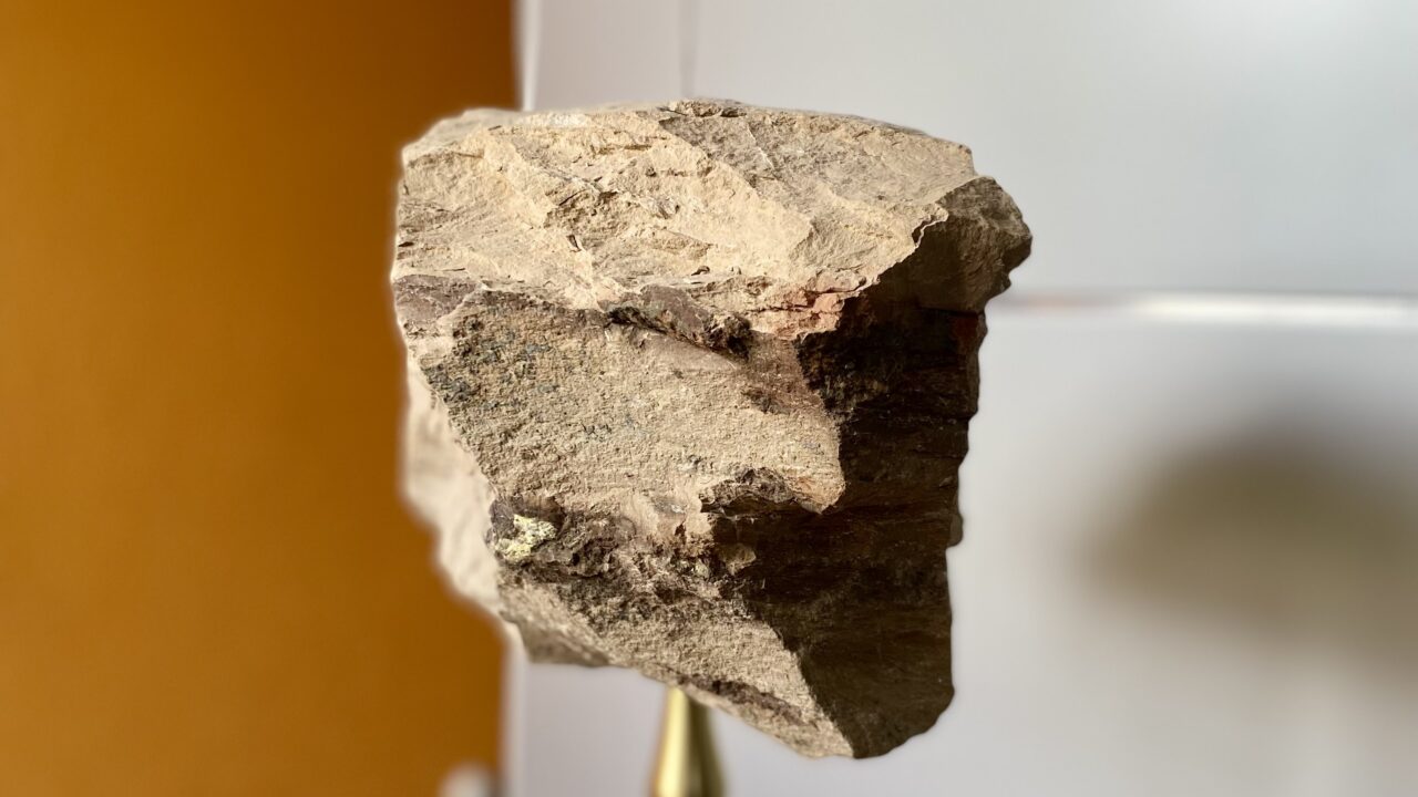 Tükk põlevkivi TalTechi Virumaa kolledžis. Foto: Silver Tambur