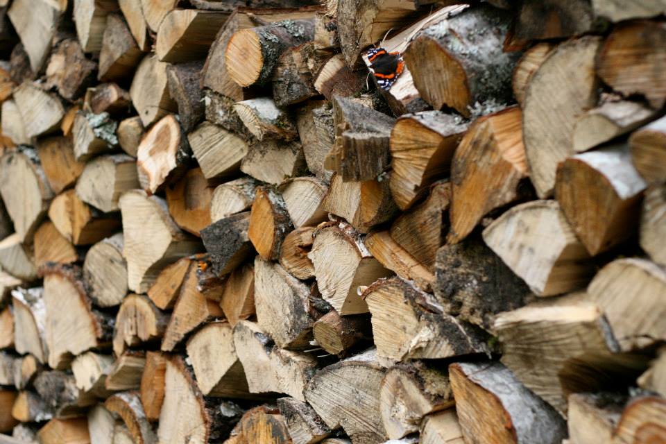 Puuriit võib olla enamat kui küttevaru – ka sellised varjulised puidupaigad pakuvad elupaika putukatele ja toetavad elurikkust. Foto: Mari Öö Sarv