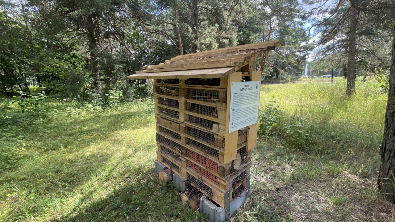2024. aastal TalTechi ja Tehnopoli linnakus avatud lülijalgsete hotell on näide sellest, kuidas teadus- ja ärikeskkonda saab siduda elurikkama linnaruumi loomisega. Foto: TalTech