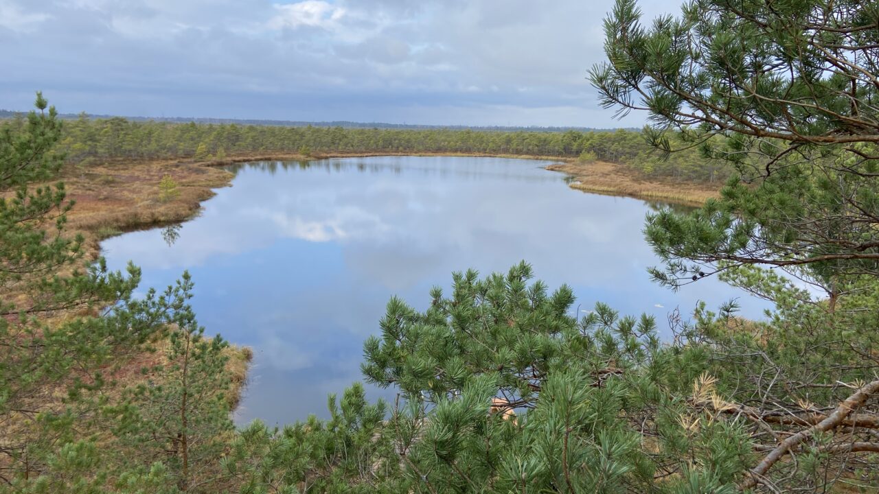Rabajärv ja seda ümbritsev soo on elurikkuse hoidjad, pakkudes elupaika paljudele liikidele ning sidudes samal ajal süsinikku. Foto: Mari Öö Sarv